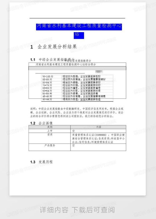 河南省水利基本建設工程質(zhì)量檢測中心站介紹企業(yè)發(fā)展分析報告word模板下載 編號lvwnoknm 熊貓辦公